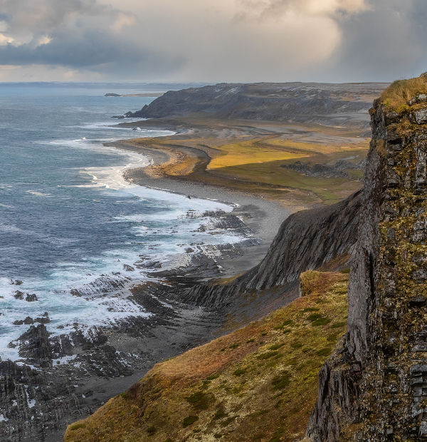 Багги тур к океану