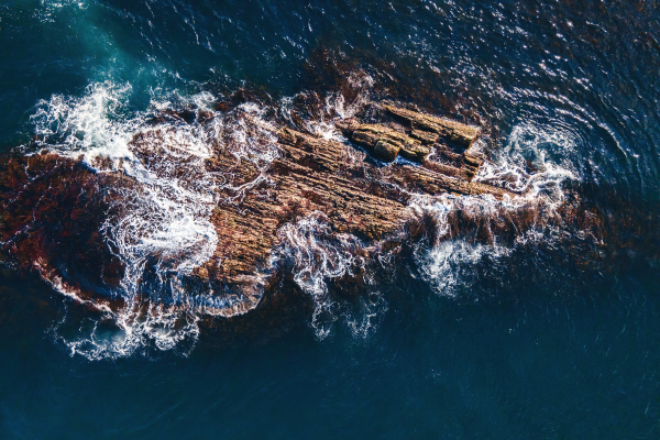 Багги тур к океану