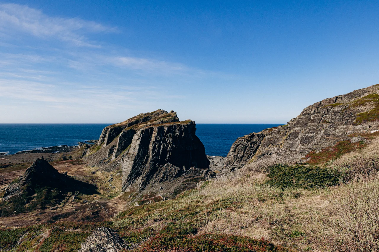 Багги тур к океану