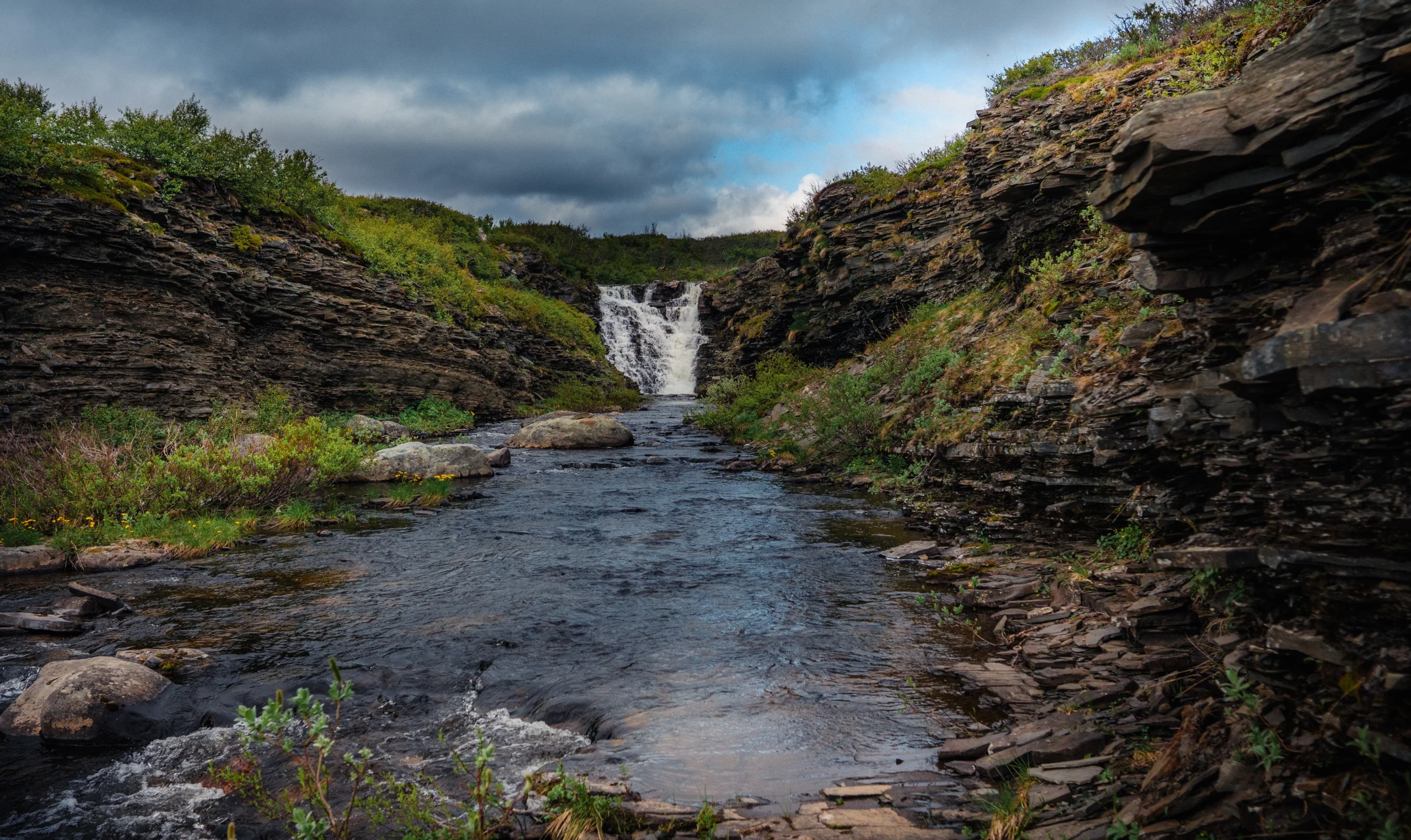 Багги тур к океану
